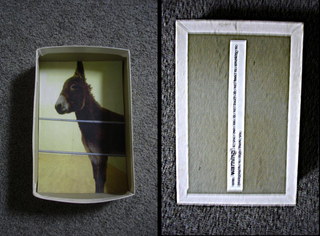 Collezione 1993 - 1995, Maurizio Cattelan
Warning, 1994
scatola con fotografia di asino in galleria
12 x 18 x 4 cm