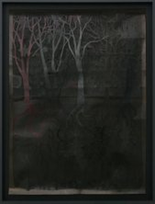 Collezione Ferrari 1992 - 2009, Alessandro Ceresoli
Bosco, 2007
grafite su cartoncino
180 × 180 cm