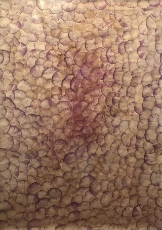 Collezione 2010 - 2020, Miriam Montani
Radicamenti, 2019
tracce di pigmento e terre dispersibili su petali di rose di diverse tipologie di famiglia e colore, pressati ed essiccati al buio
55 x 78 cm